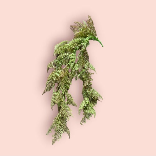 TF Caída Marron 95153