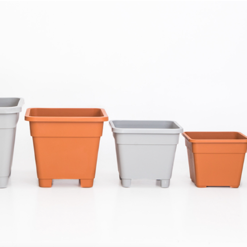 TA Clasica Cuadrada 38