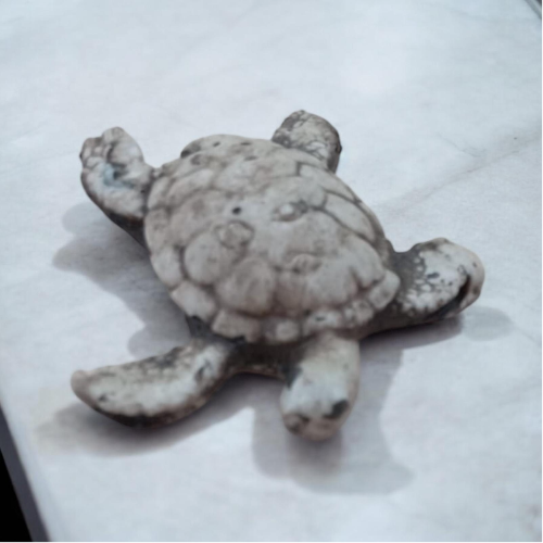 Mini Tortuguitas