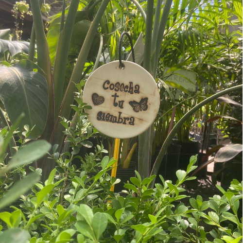 Tutor Ceramica DIAM14