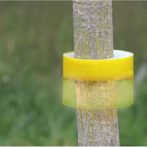 HormiSTOP Tekniplant
