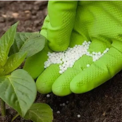 Urea 500 grs