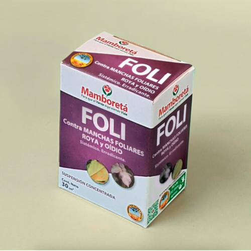 Mamboreta Foli