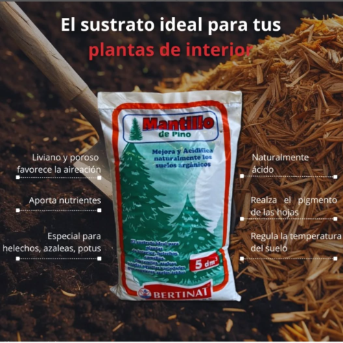 BERTINAT Pinocha 5L