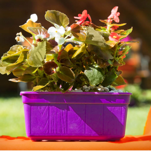 TA Jardinera Mini 20