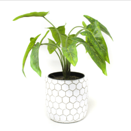 Maceta Cemento 14cm MC2C