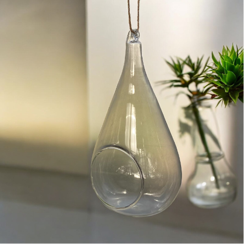 TERRARIO Gota