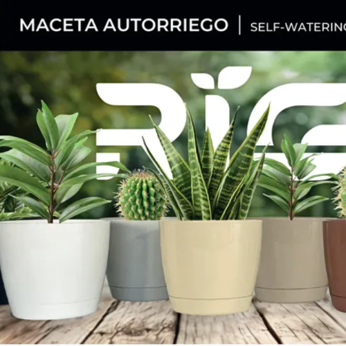 Beru Riga 17