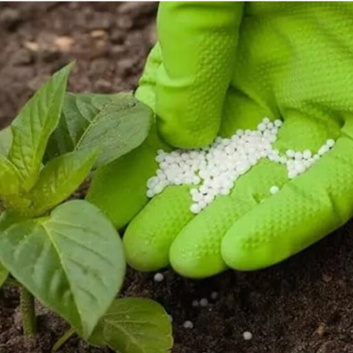 Urea 1k