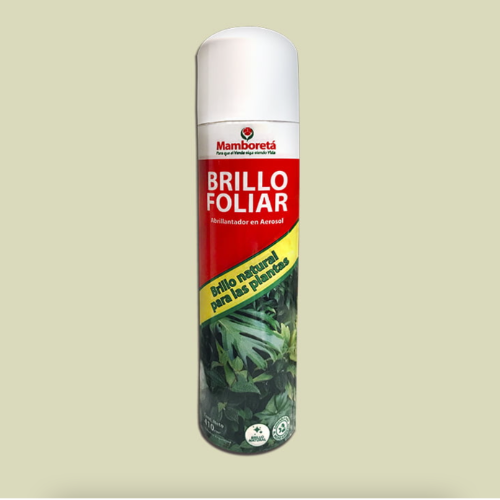 Mamboreta Brillo