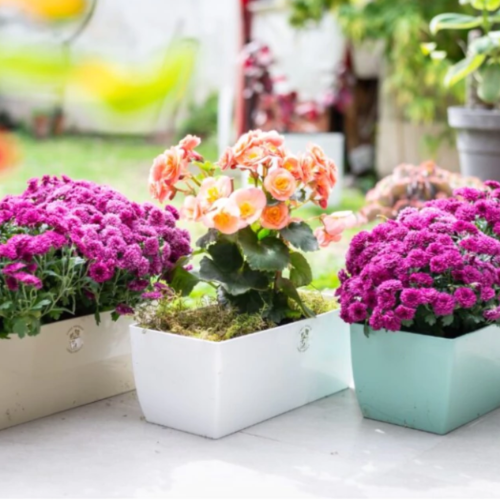 TA Jardinera Premium 25