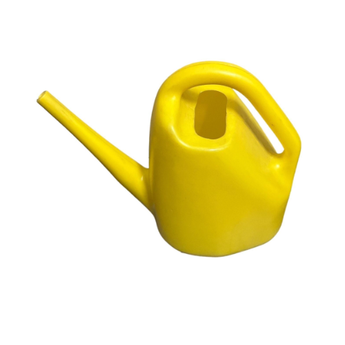 LJ Regadera 2L