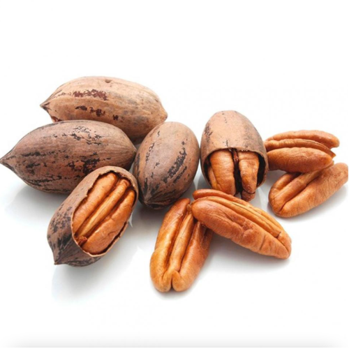 Nogal Pecan 10L
